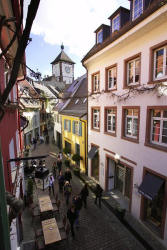 Freiburg Apartment Kater Paul: Ansicht