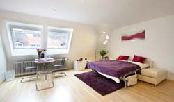 Freiburg Apartment Kater Gerd : Ansicht 3
