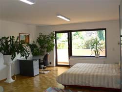 Heidelberg Ferienwohnung Gollas : Schreibtisch