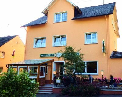 Hotel/Pension 'Waldgasthof Friedrichsberg'