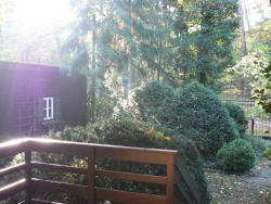 Stein Apartment im Wald: Ansicht