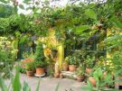 N�rnberg: Appartement zum Wohlf�hlen