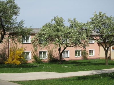 Pension Adelshofen Inn - Bed & Breakfast