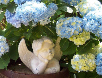 Kr�uterstube Therapien und Wellness