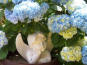 Kr�uterstube Therapien und Wellness