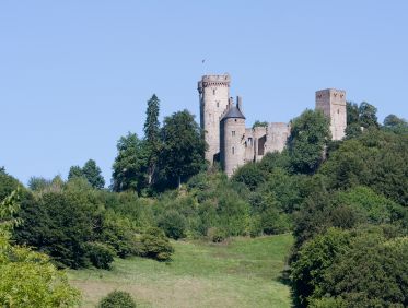 Foto bewaldeter Hügel der Kasselburg in Pelm / Eifel unter blauem Himmel