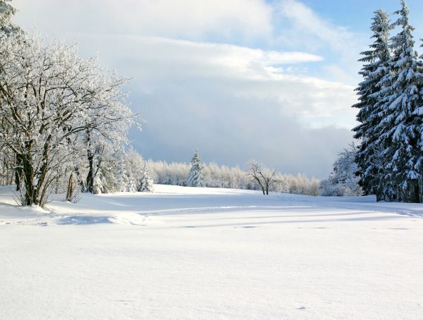 Winterlandschaft im Erzgebirge mit schneebedeckten Bäumen