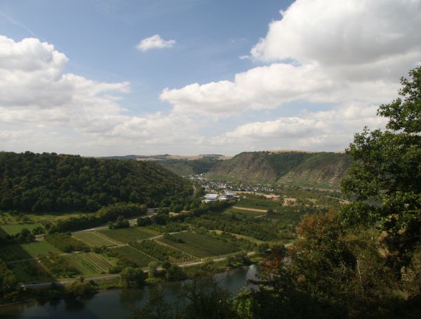 Foto Der Hunsrück und darunter die Mosel, gesehen von einem Aussichtspunkt