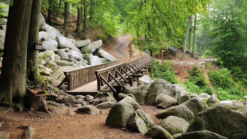 das Felsenmeer im Odenwald, Waldweg über einen hölzernen Steg
