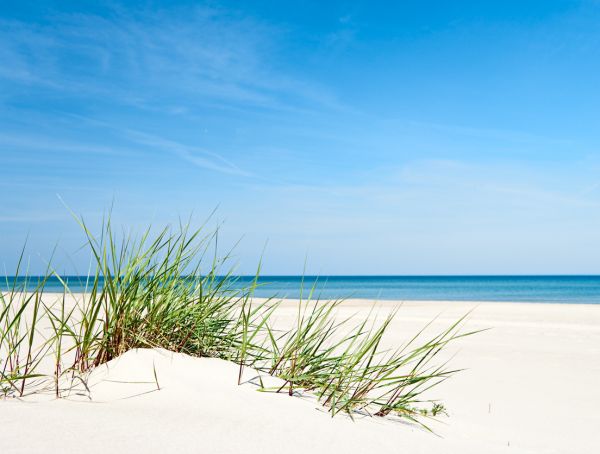 Ostsee-Strand, im Vordergrund mit Gras bewachsene Düne, dahinter die Ostsee unter blauem Himmel