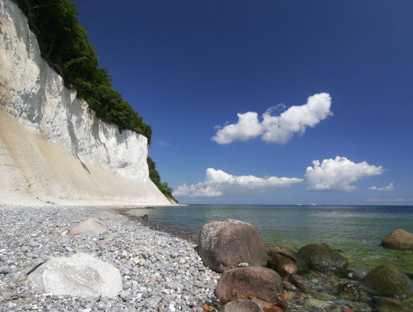 Foto Kreidefelsen im Nationalpark Jasmund auf Rügen, links die weißen Berge, rechts die Ostsee