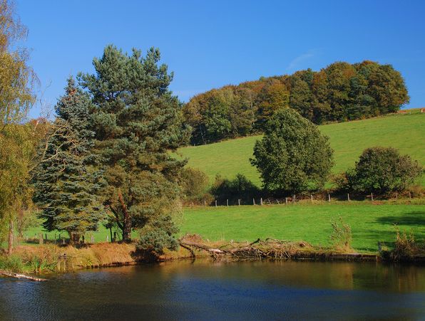grüne Landschaft im Spessart, Bäume, Wiesen und ein Teich