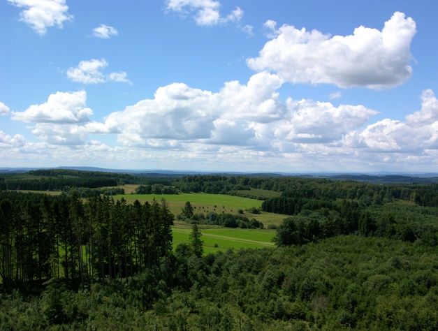 Foto Blick über grüne Wälder und Wiesen im Westerwald unter blauem Himmel