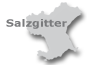 Zum Salzgitter-Portal