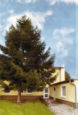 Pension Rothenseer - Hof