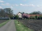 Privatzimmer Bartels in Oldenburg