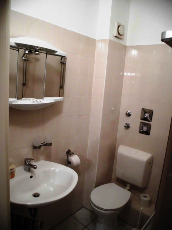 Zwickau Ferienwohnung Oberplanitz: Bad Wohnung 2